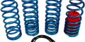 Mustang Lowering Springs