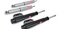 Mustang Shocks and Struts
