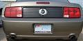 SVE Mustang Exterior and Underhood Parts